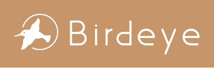 資産管理サービスBirdeye